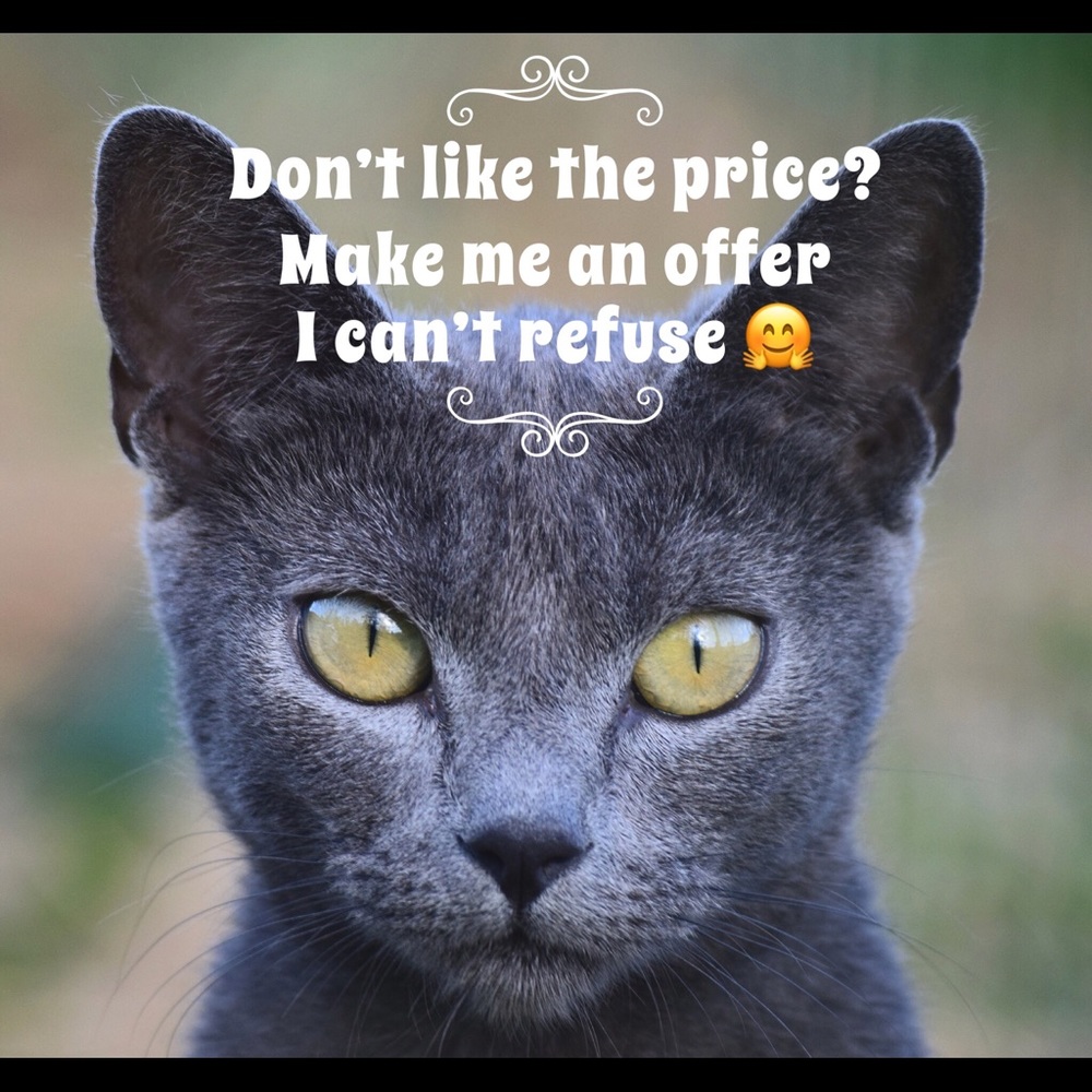 😸